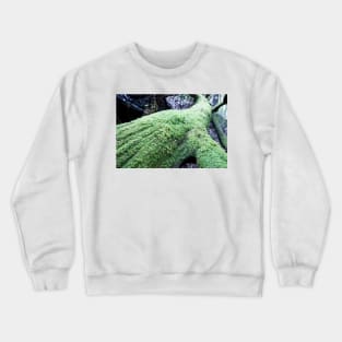 Long moss covered tree trunk on forest floor. Crewneck Sweatshirt